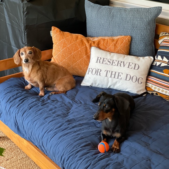 Meet the Posher, Deb - Picture 12 of 14